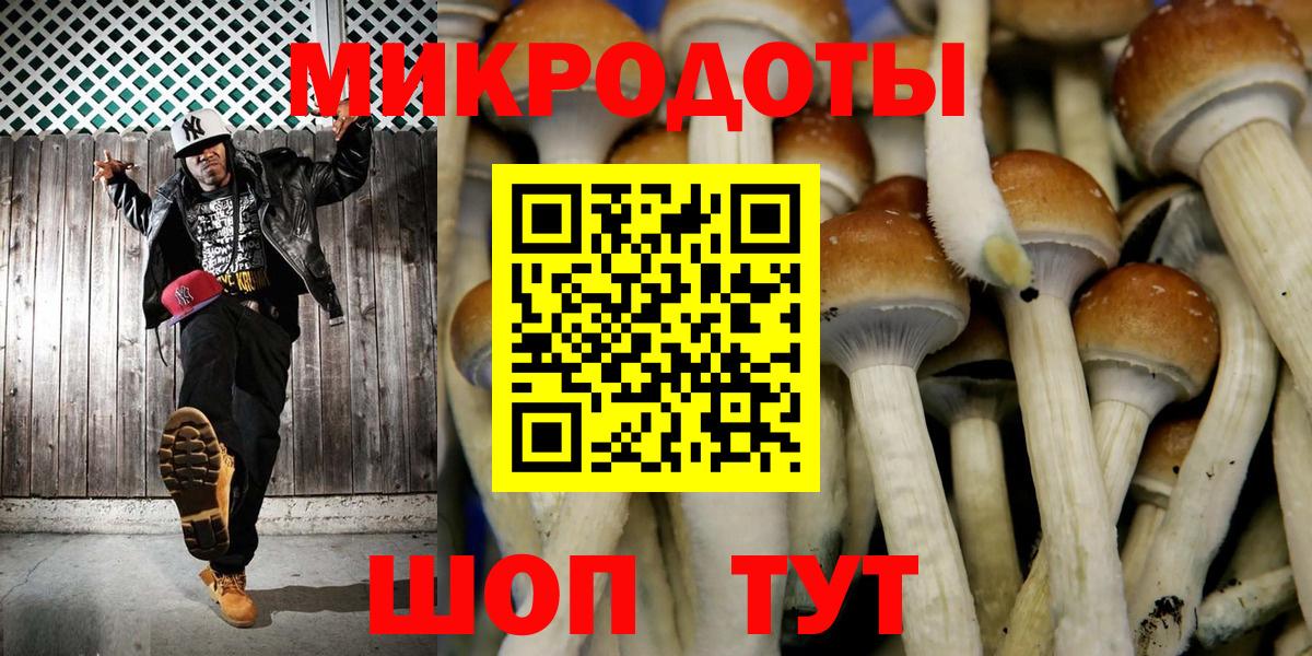 Гулькевичи  Галлюциногенные грибы прущие грибы  Вход с VPN  Псилоцибиновые грибы Cubensis 