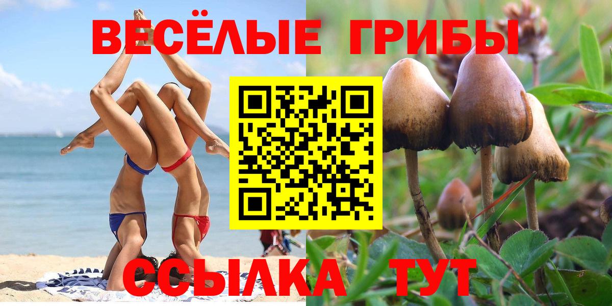 Псилоцибиновые грибы Гулькевичи