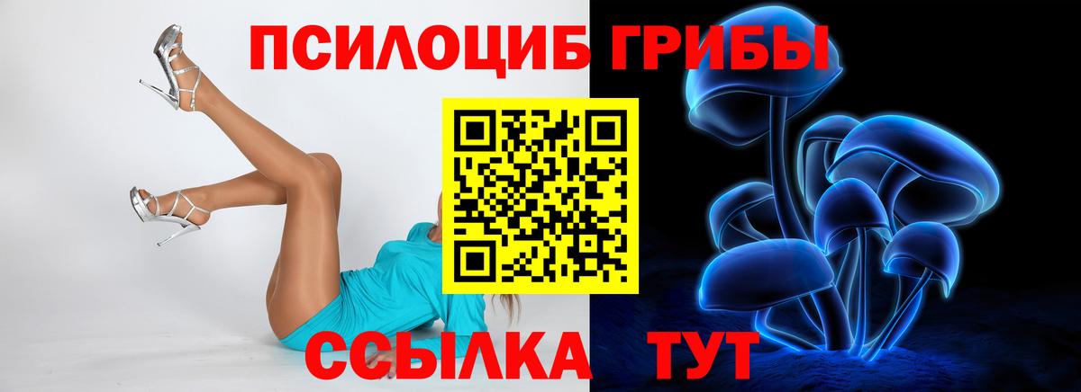 Галлюциногенные грибы мицелий  Гулькевичи 